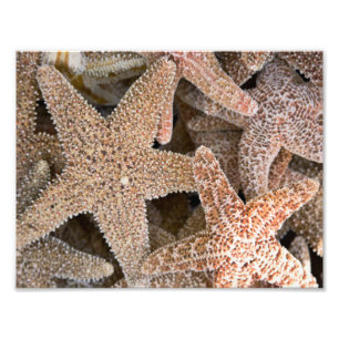 Impression Photo Starfish partout