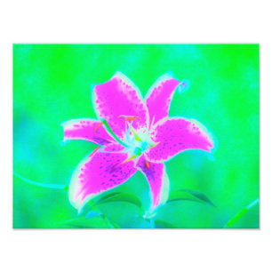 Impression Photo Stargazer rose chaud Lily sur Turquoise et vert