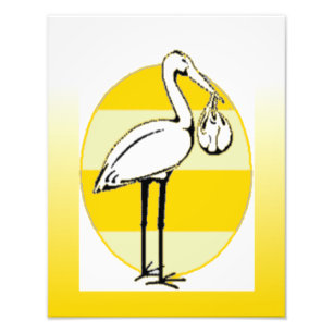 Impression Photo Stork et Baby Bundle