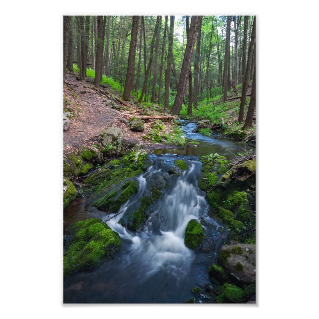 Impression Photo Stream Along the Trail  (Devant)