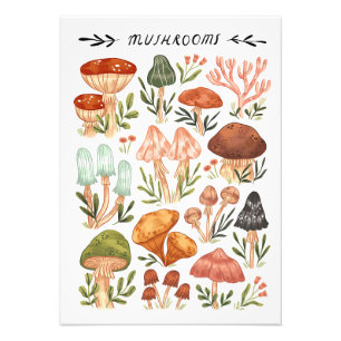 Impression Photo Style Champignons Chasseur de champignons