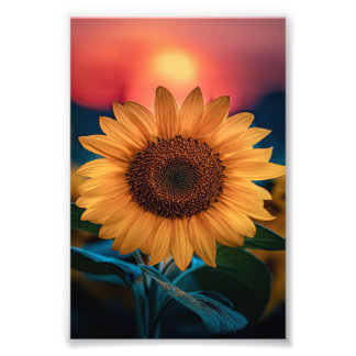 Impression Photo Sunflower coucher - Mignonne Drôle Cadeau Pour Pap