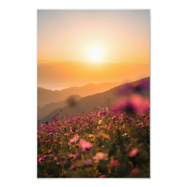Impression Photo Sunset and cosmos (Devant)