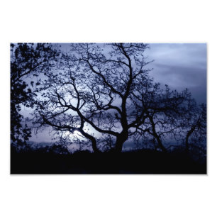 Impression Photo Sunset de minuit