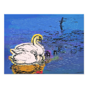 IMPRESSION PHOTO SWANS
