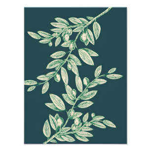 Impression Photo Symbole de Paix : Branche d'Olivier avec des Olive