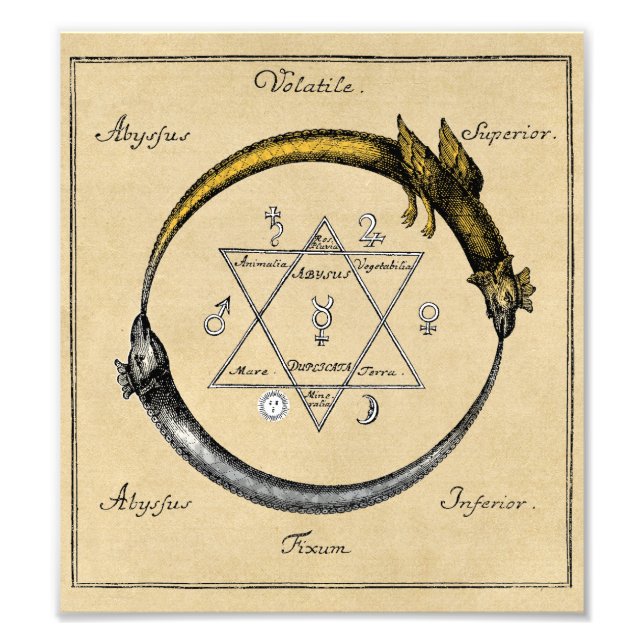 Impression Photo Symbole or et argent Ouroboros (Devant)