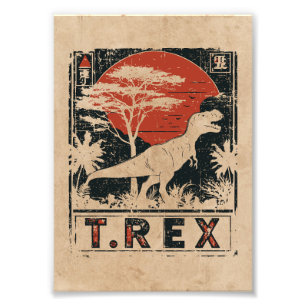 Impression Photo T-Rex Dinosaur Art Vintage   Wabi Sabi Soleil roug