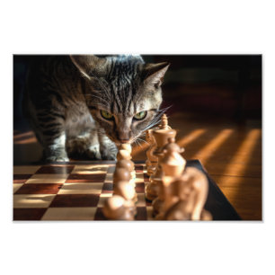 Impression Photo Tabby Cat Jouer Aux Échecs