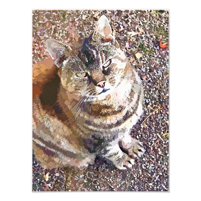 IMPRESSION PHOTO TABLEAU CAT (Devant)