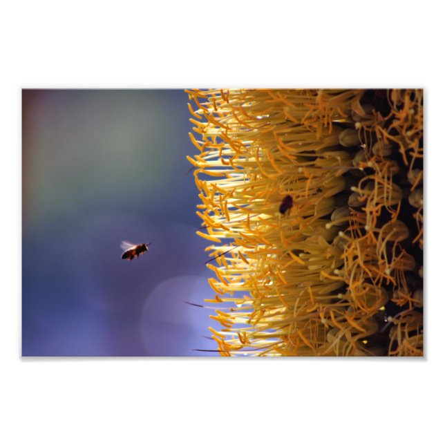 Impression Photo Terrasse de la ville (Devant)