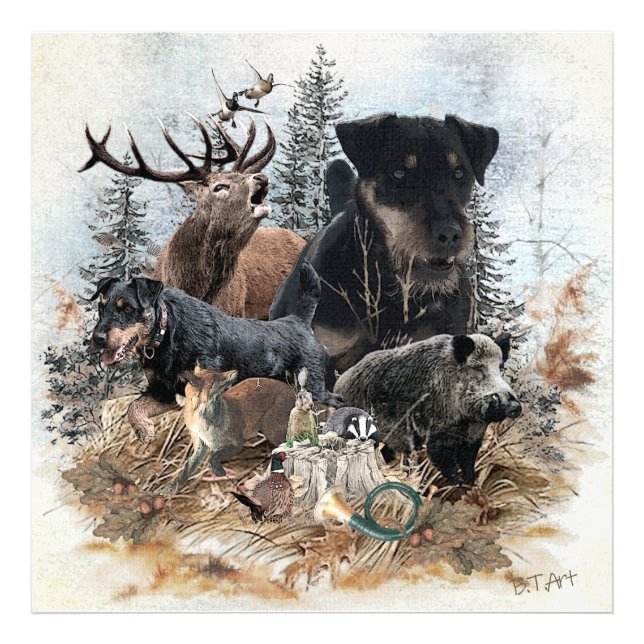 Impression Photo Terrier de chasse allemand (Jagdterrier) (Devant)