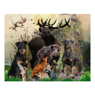 Impression Photo Terrier de chasse allemand (Jagdterrier)
