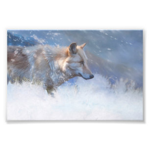 IMPRESSION PHOTO TERRITOIRE DU LOUP HIVER