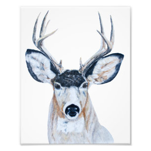 Impression Photo Tête de cerfs communs au crayon