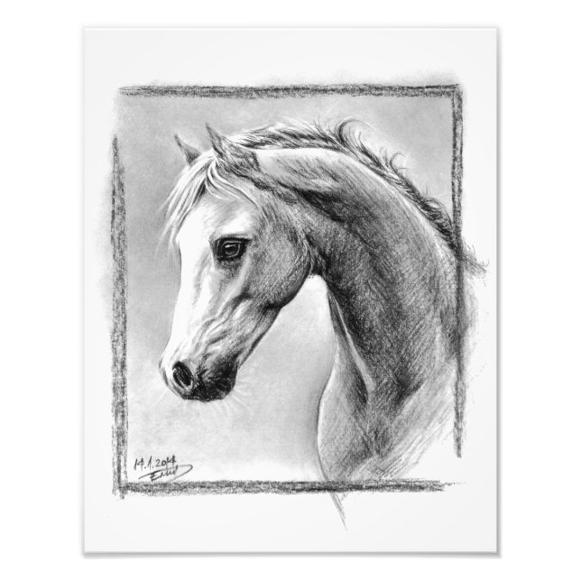 Impression Photo Tête de cheval Dessin de charbon de bois Art équin (Devant)