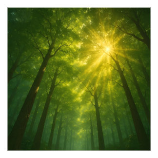 Impression Photo The Divine Light Path: Cathedral of the Emerald Fo