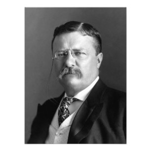Impression Photo Theodore Roosevelt Teddy Président républicain