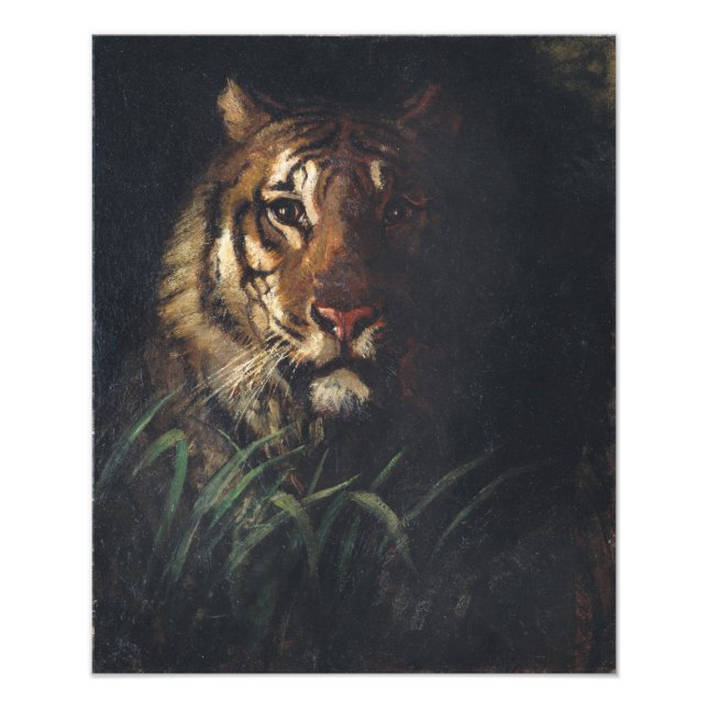 Impression Photo Tiger's Head par Abbott Handerson Thayer (Devant)