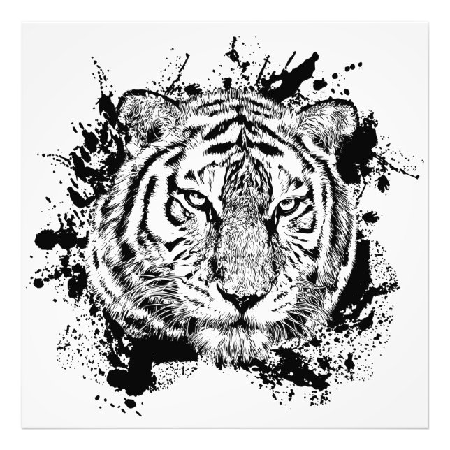 Impression Photo Tigre Animal Sauvage Jungle Safari Afrique Monde N (Devant)