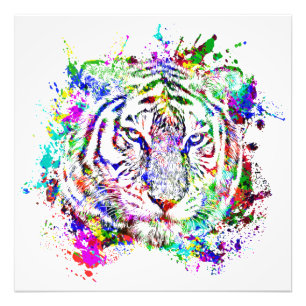 Impression Photo Tigre Animal Sauvage Jungle Safari Afrique Monde N