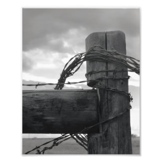 Impression Photo Tirage 8x10 - Wood & the Wire