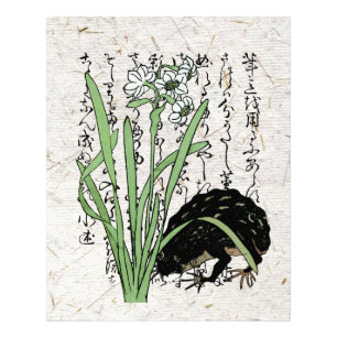 Impression Photo Toad de grenouille botanique japonaise du XVIIIe s