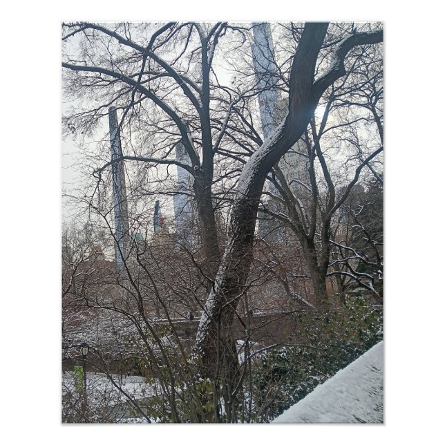 Impression Photo Today in New York City Central Park (Devant)