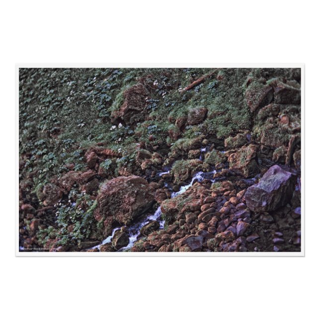 Impression Photo ToneTerre (Devant)