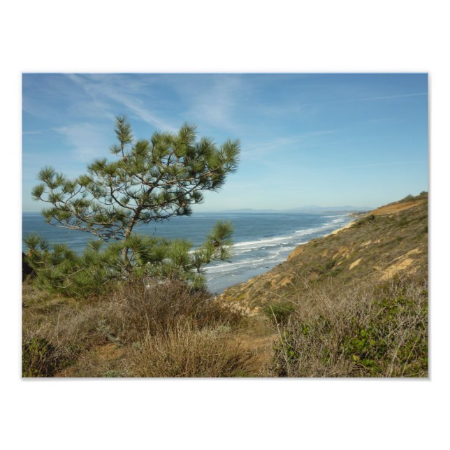 Impression Photo Torrey Pine and California Coastline Landscape (Devant)