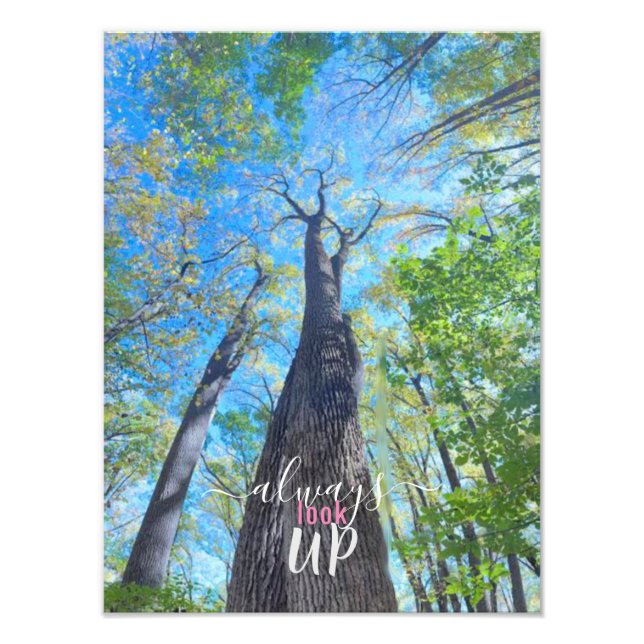 Impression Photo Toujours regarder vers le haut ciel d'automne et f (Devant)