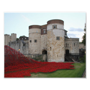 Impression Photo Tour de Londres avec des pavots rouges