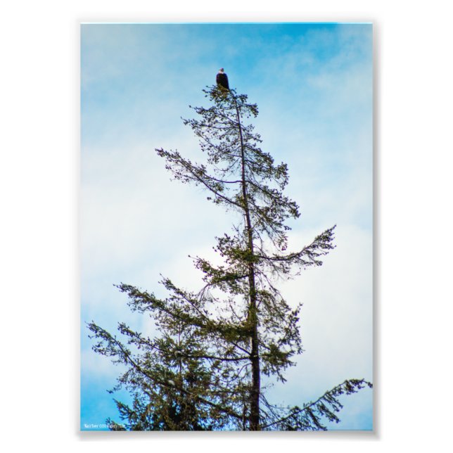 Impression Photo Tour de surveillance (Devant)