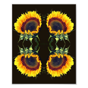 Impression Photo Tournesol Au Soleil Fleur Abstraite Art 8x10