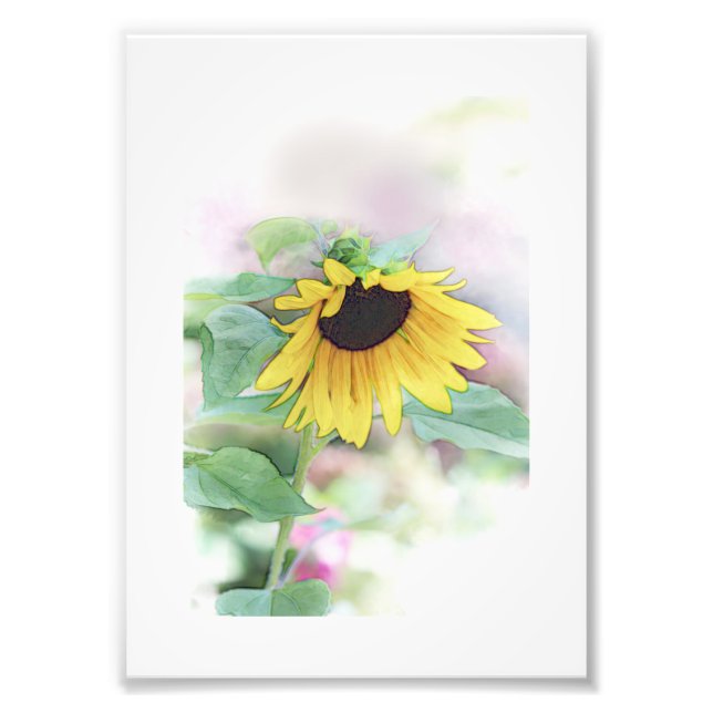 Impression Photo 'Tournesol caché' (Devant)