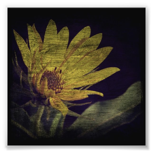 Impression Photo Tournesol sauvage (Devant)
