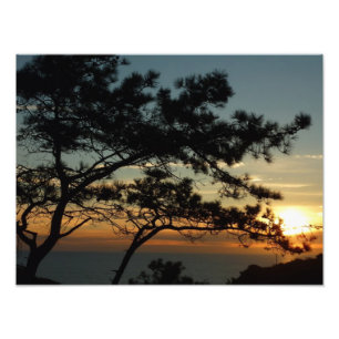 Impression Photo Tourrey Pine Sunset I California Paysage