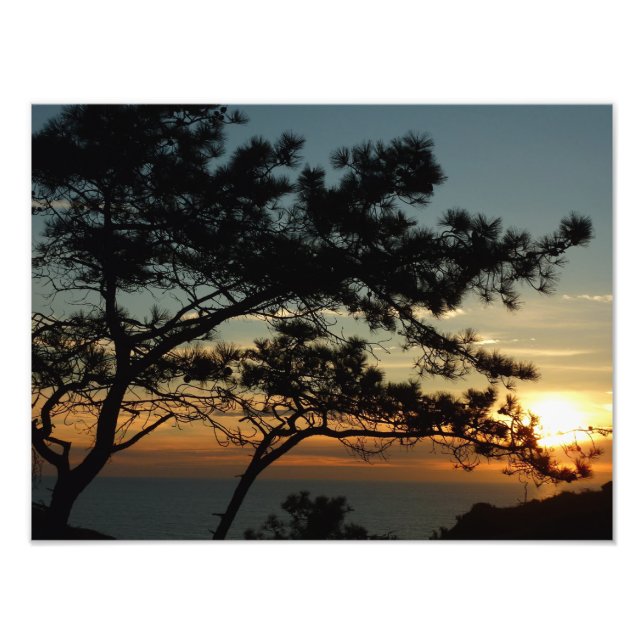 Impression Photo Tourrey Pine Sunset I California Paysage (Devant)