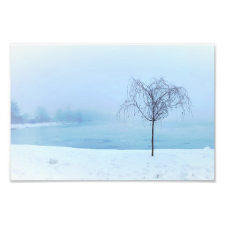 Impression Photo Tree by a Frozen Lake