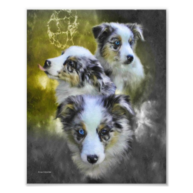 Impression Photo Triade de chiot australien (Devant)