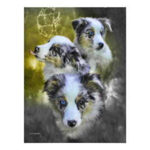 Impression Photo Triade de chiot australien