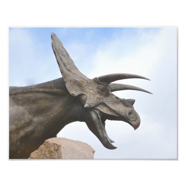 Impression Photo Tricératops Dinosaur (Devant)