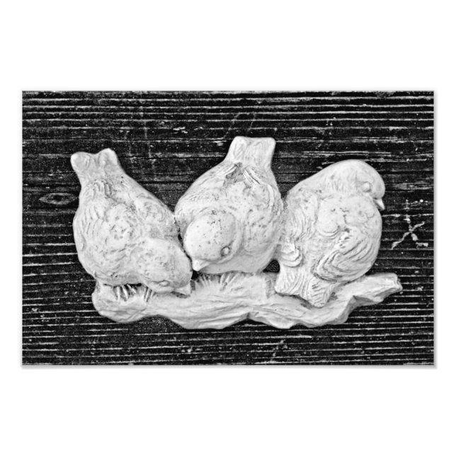 Impression Photo Trio d'oiseaux (Devant)