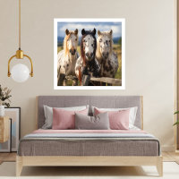 Trois chevaux Appaloosa