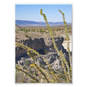 Impression Photo Tuff Canyon & Ocotillo, Parc National Big Bend