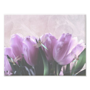 Impression Photo Tulipes pourpres Dragonflies Aqua Imprimer