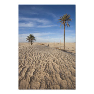 Impression Photo Tunisie, désert du Sahara, Douz, Grande Dune, aube