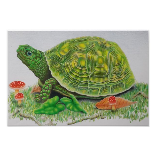 Impression Photo "Turtle Love" Affiche originale de Baylen Parada ( (Devant)