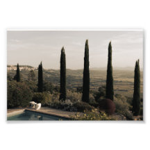 Tuscan landscape hidden behind cypresses (2024)