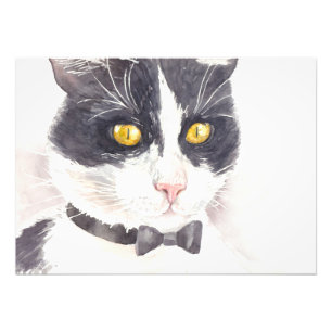 Impression Photo Tuxedo